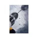 10502481