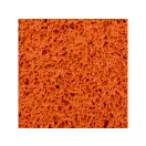 34449F