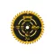 DEWALT ELITE Fűrésztárcsa fához 184 x 16 x 1,6 mm / 40T