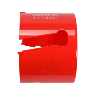 YT-43981