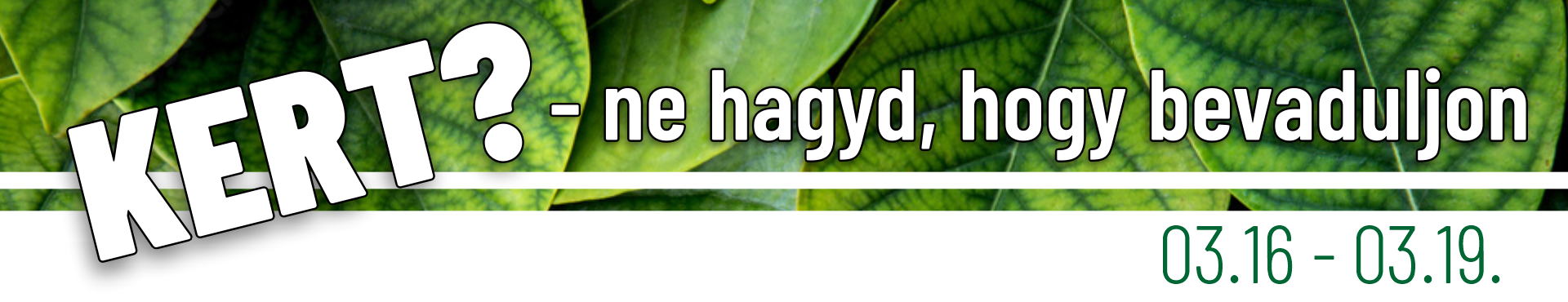 Kerti szezon előkészítés